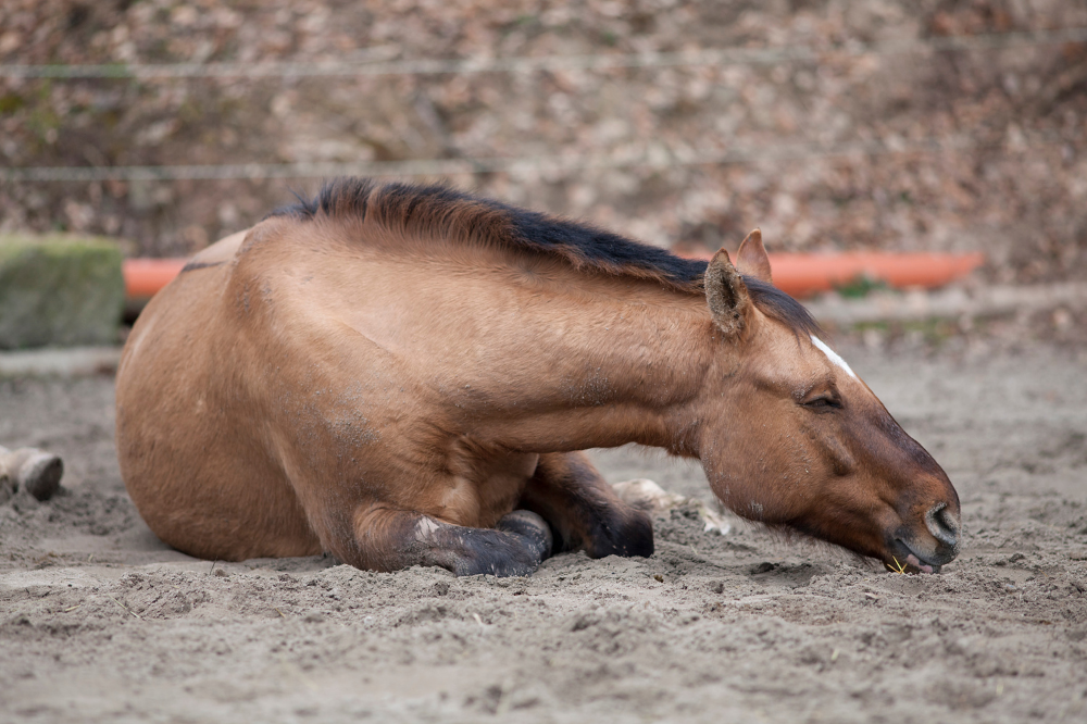 Preventing problematic lying down