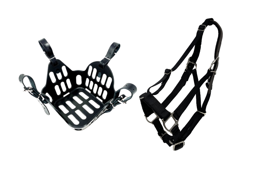 greenguard grazing muzzle with safety breakaway halter for horse health management