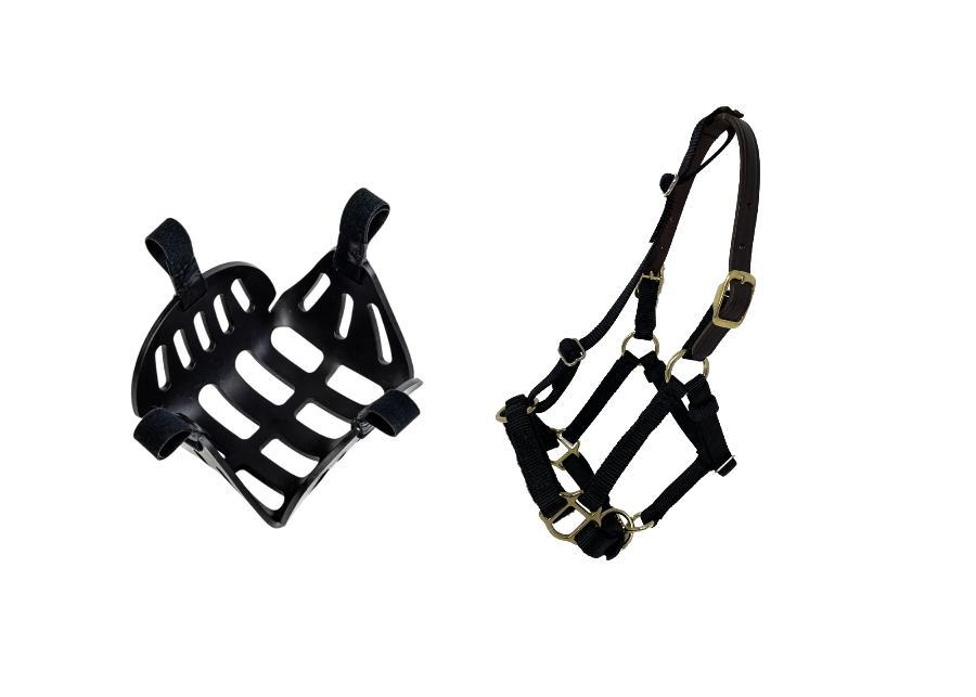 safety breakaway halter and mini grazing muzzle for minis and small ponies