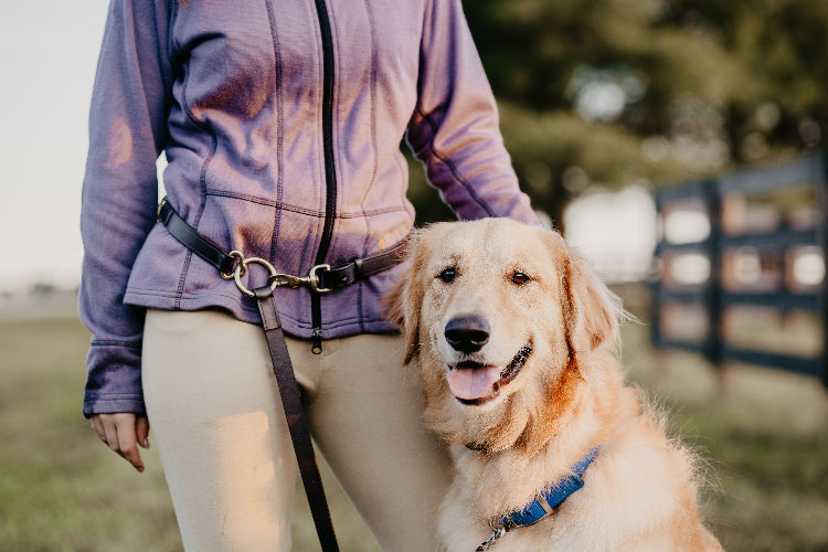 Middle third of a woman wearing autumnal athletic clothes. She has a leather harness around her waist, with a leather leash attached to a happy yellow dog.