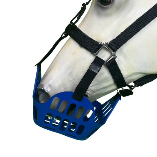Blue horse muzzle with black straps on a white background
