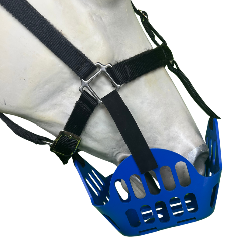 Blue horse muzzle with low profile straps on a white background