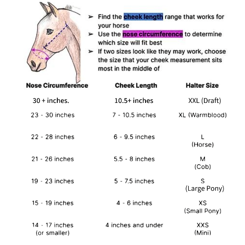 Chart for determining horse halter size based on nose circumference and cheek length.