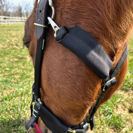 Close up of throatlatch halter padding