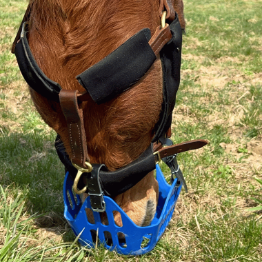 Halter padding custom for halters