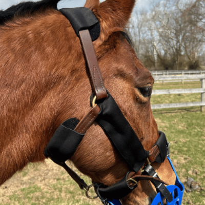 Leather halter with adjustable halter padding