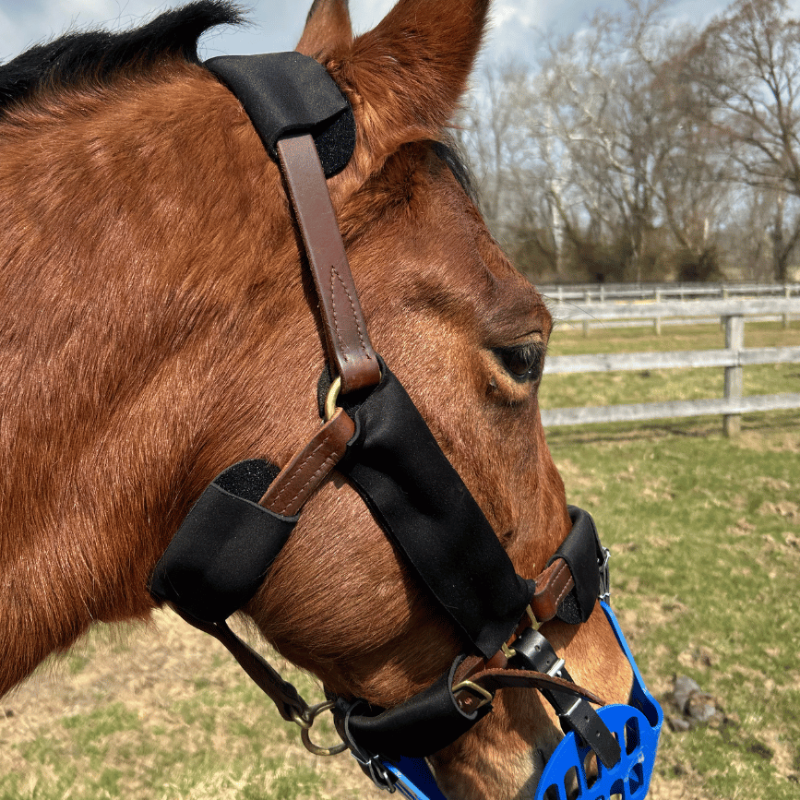 Leather halter with adjustable halter padding