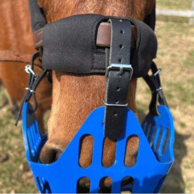 Cut out for grazing muzzle in halter padding