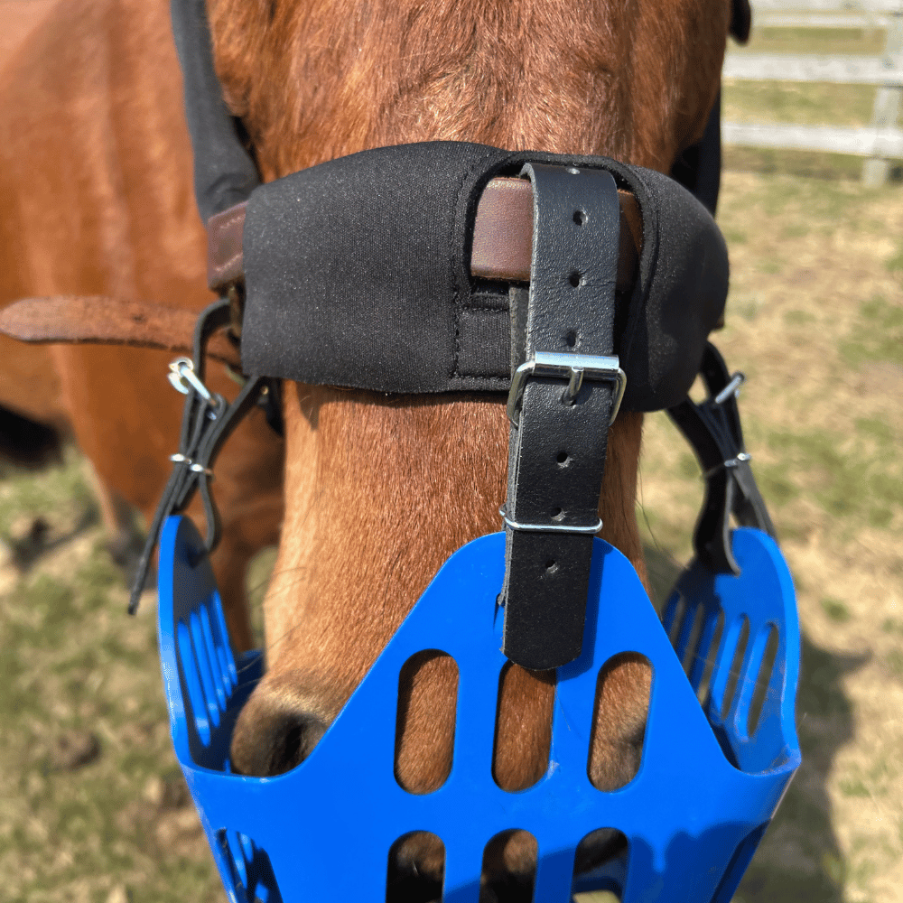 Cut out for grazing muzzle in halter padding