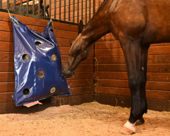 Horse eating forage from a blue slow feed hay bag in stall in a barn