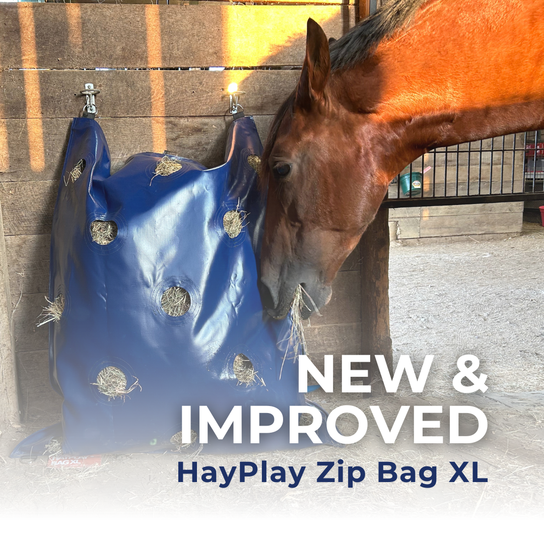 Equine feed bag hotsell