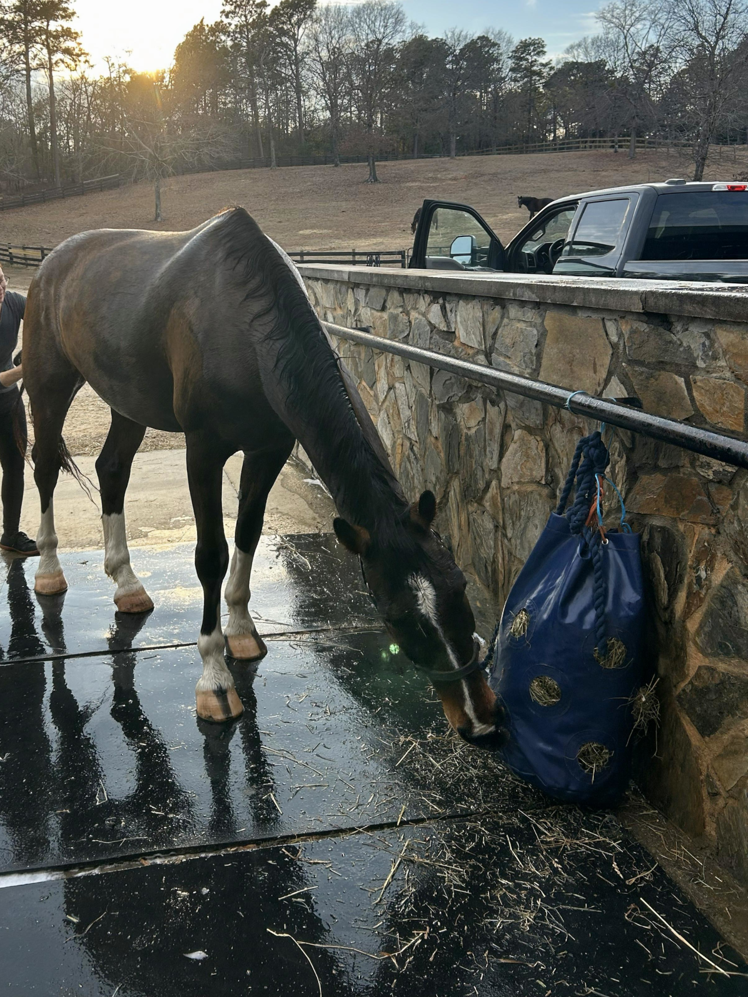 Horse eating out of waterproof hay bag while getting a bath