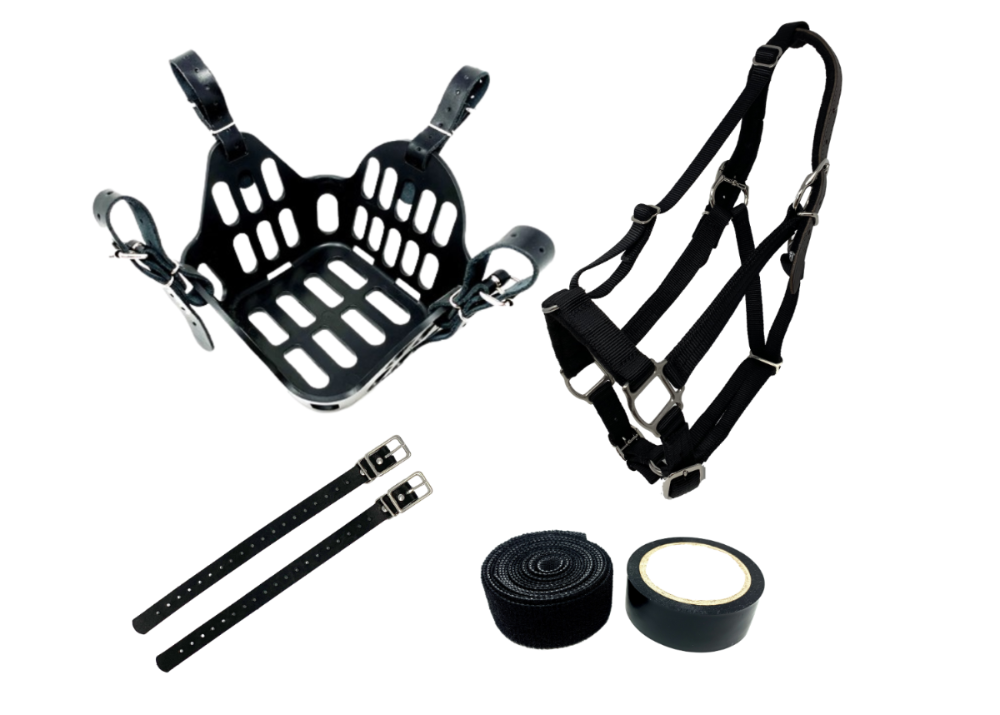 horse and pony grazing muzzle set with halter and muzzle