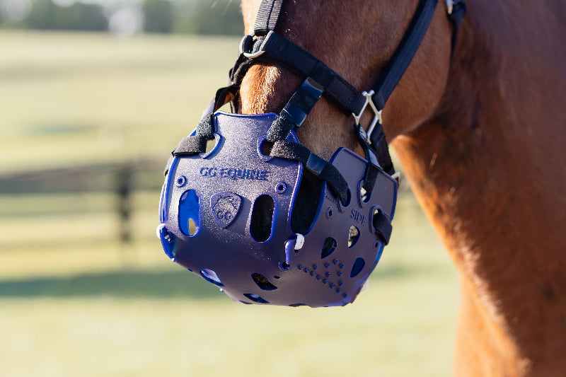 GG Equine designed grazing muzzle for larger horses