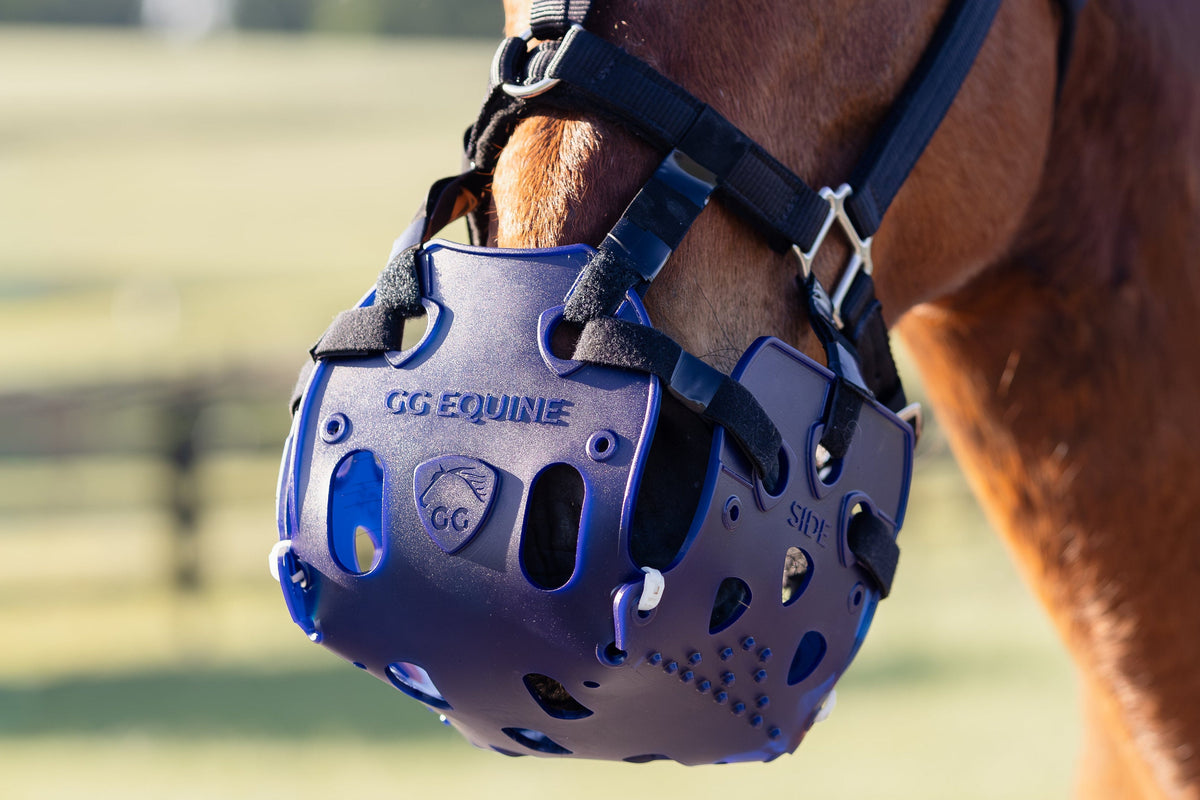 GG Equine designed grazing muzzle for larger horses
