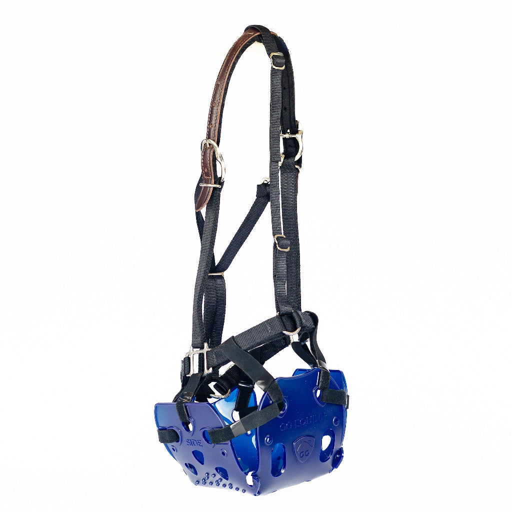 ERGO Graze™ Grazing Muzzle