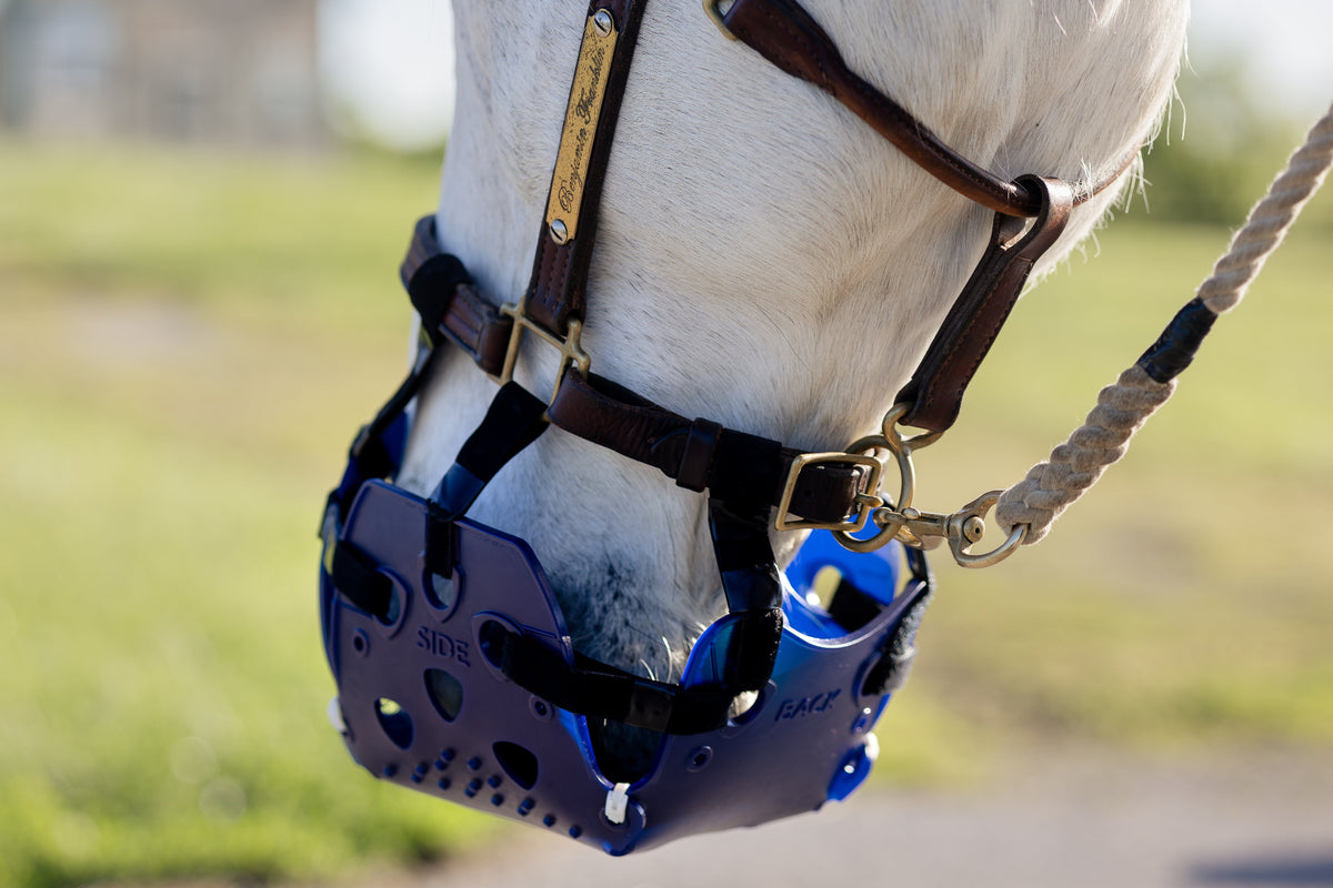 ERGO Graze™ Grazing Muzzle