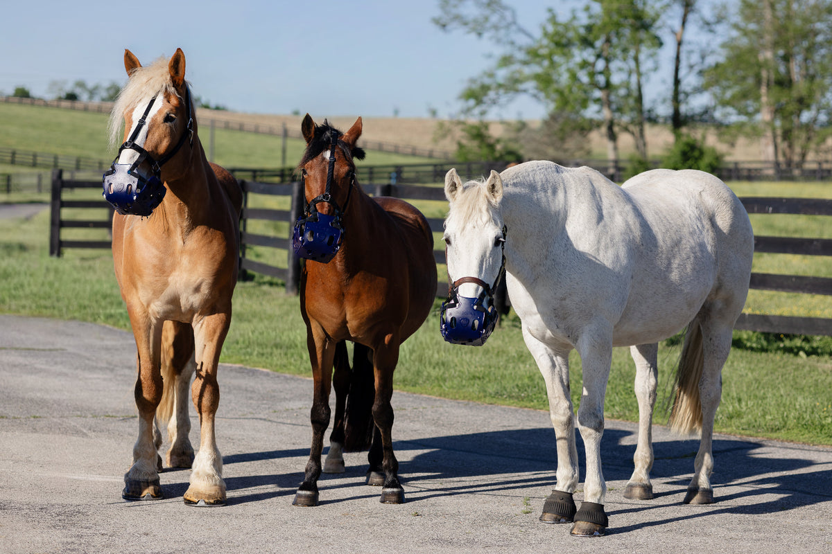 ERGO Graze™ Grazing Muzzle