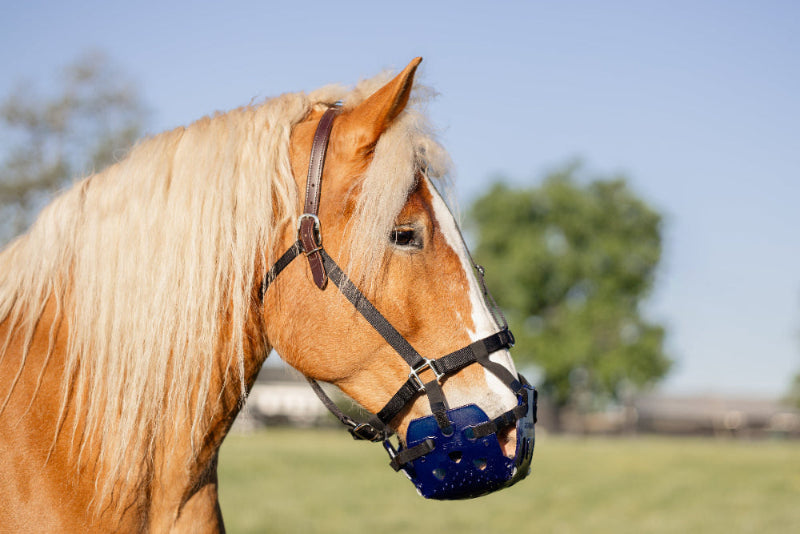 ERGO Graze™ Grazing Muzzle