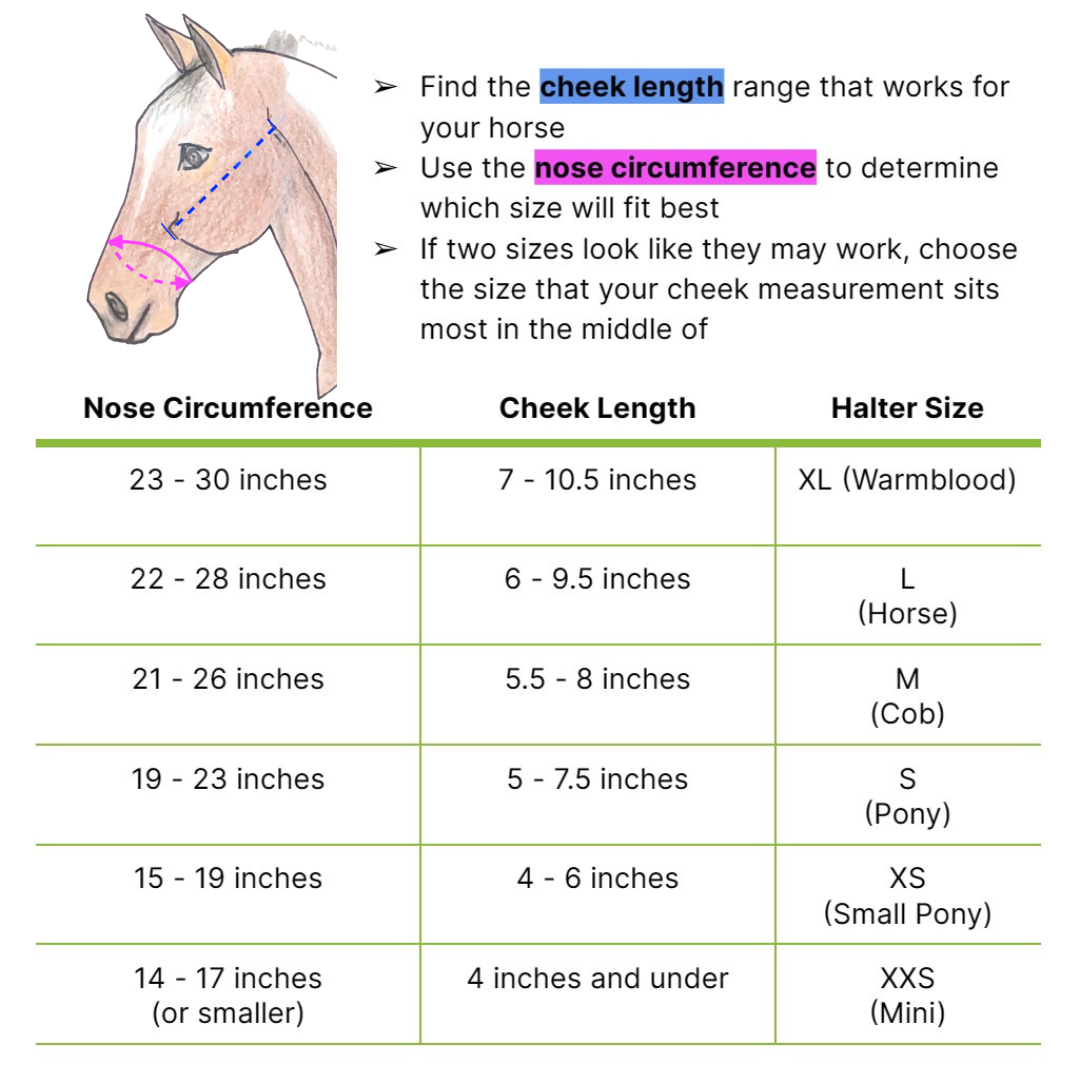 A sizing chart with measurements for determining the correct size of horse halter. The primary measurements are cheek length and nose circumference. The sizes are listed out from XL (Warmblood) to XXS (mini).