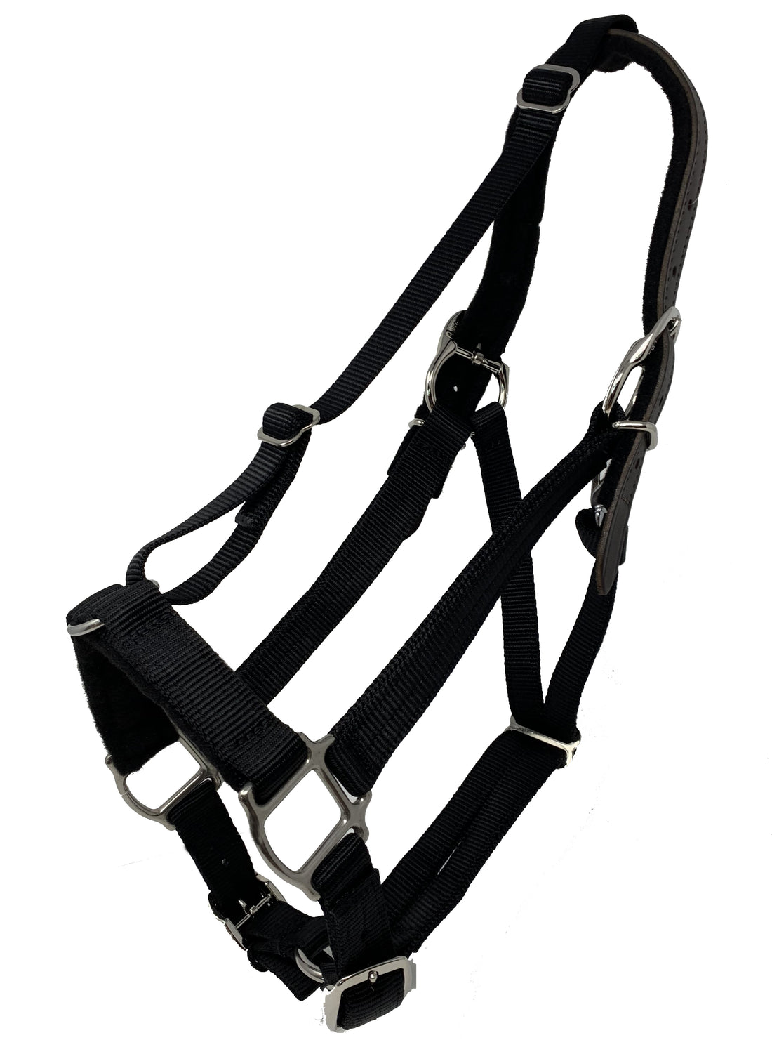 A black horse halter hanging against a nondescript background.