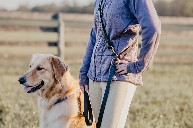 Middle third of a woman wearing autumn athletic clothes. She has a leather dog harness slung over her shoulder. It is clipped to a leather leash attached to a smiling yellow dog.