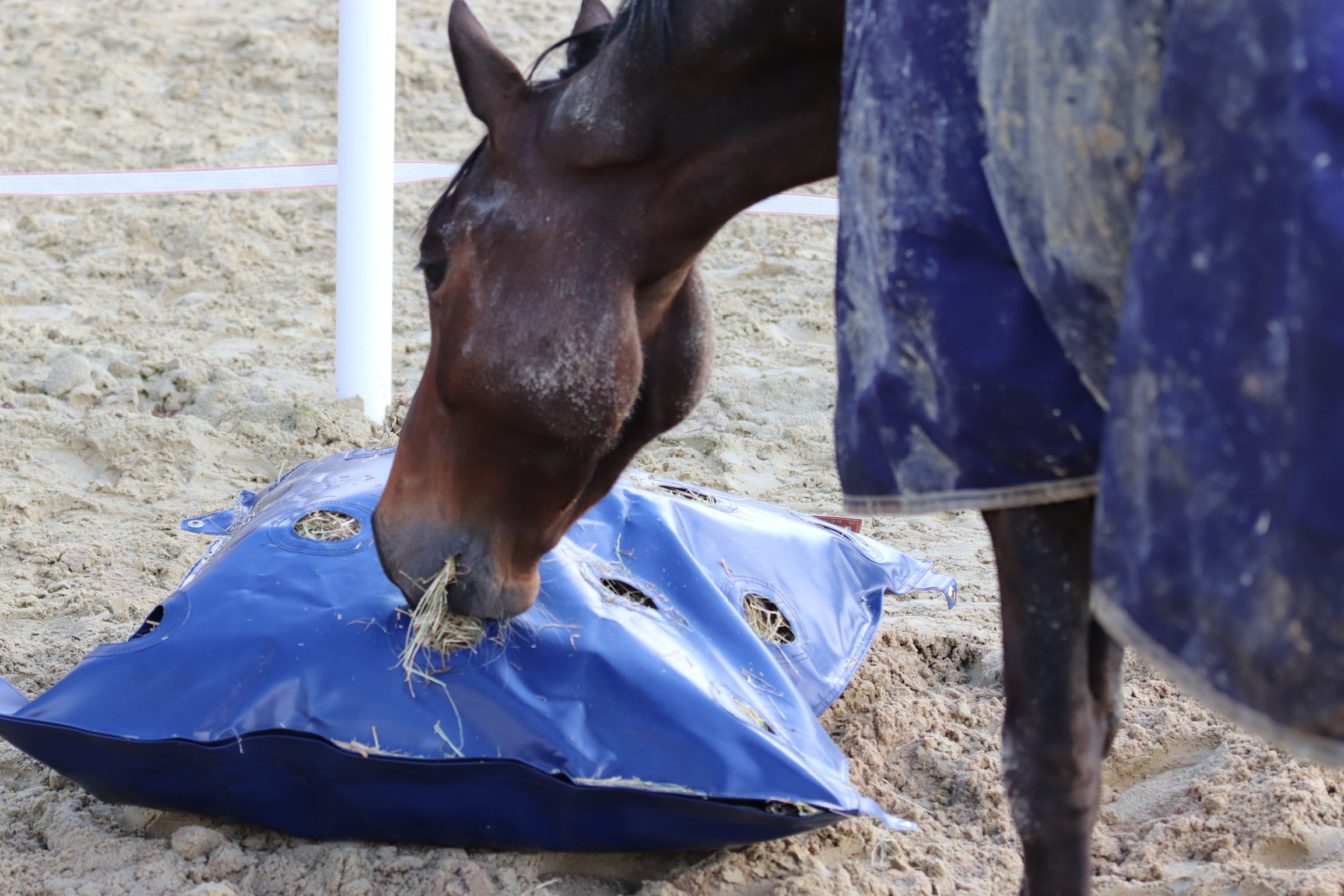 Slow-feed HayPlay Bag XL