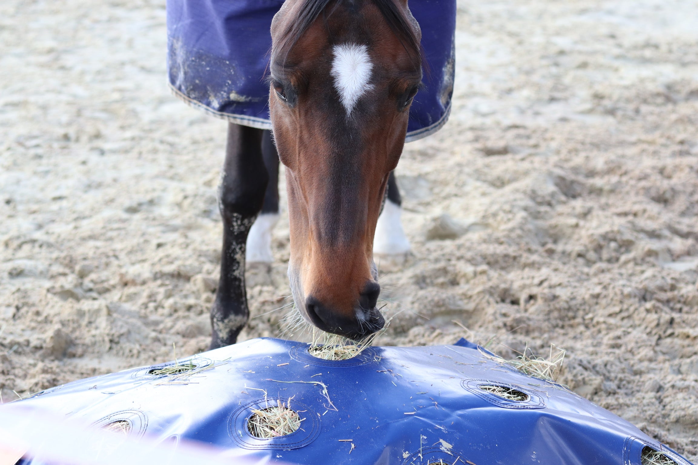Slow-feed HayPlay Bag XL