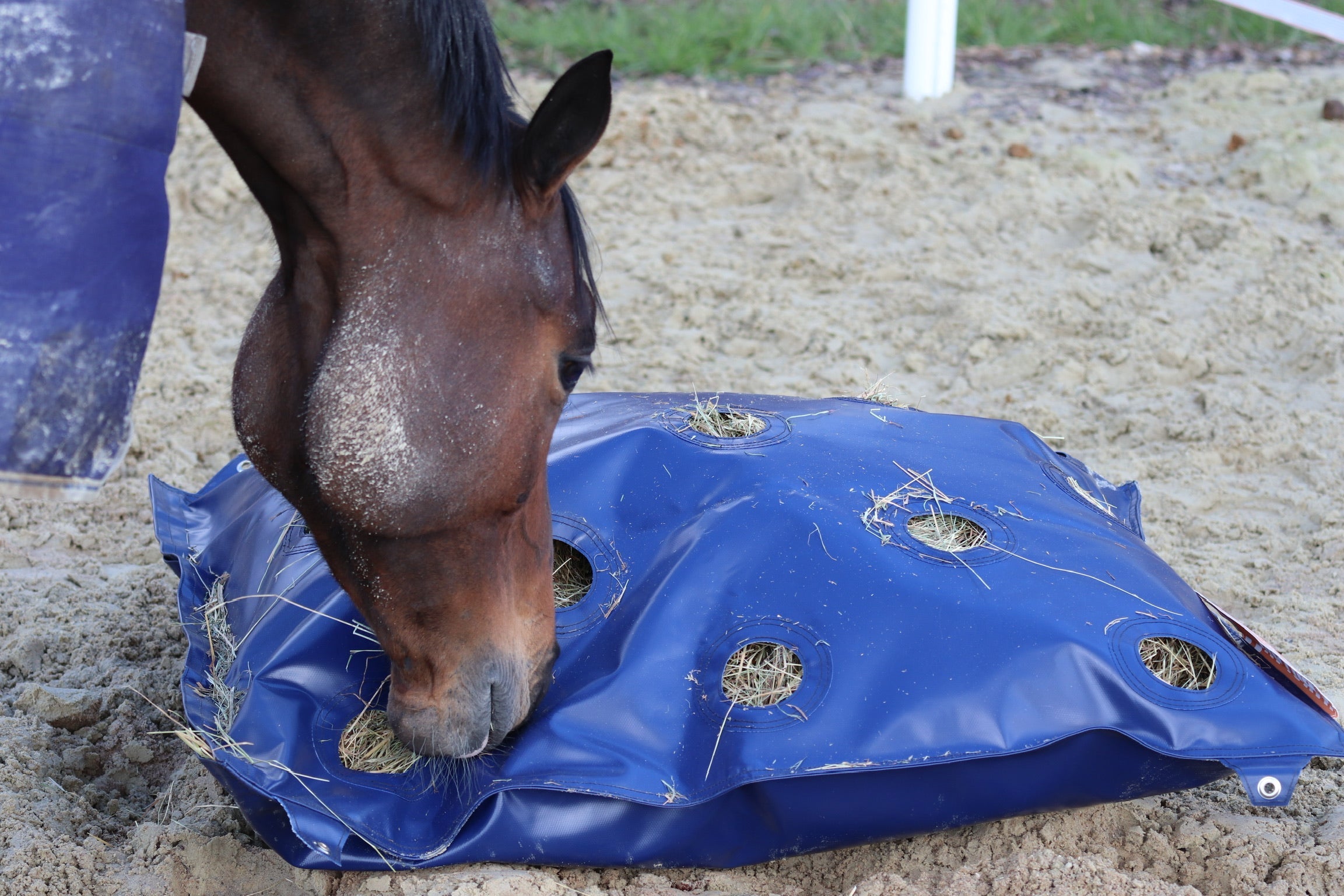 Slow-feed HayPlay Bag XL