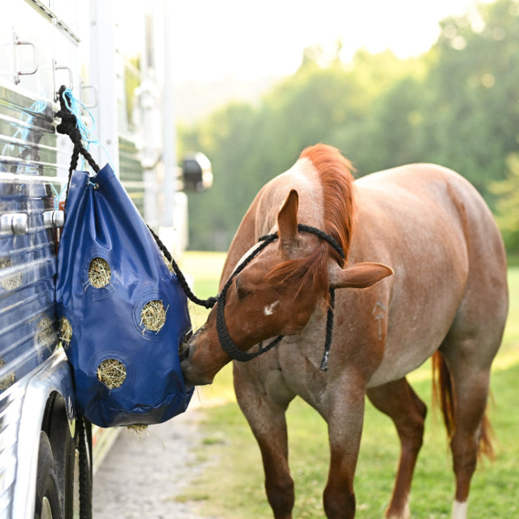 HayPlay Slow-Feed Tie Bag