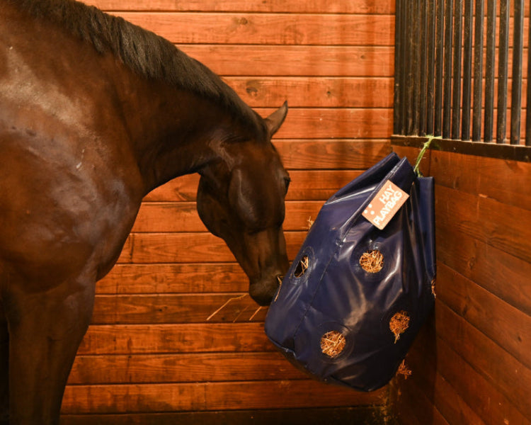 Blue hay play bag in stable tied up for horse to eat out of comfortably.
