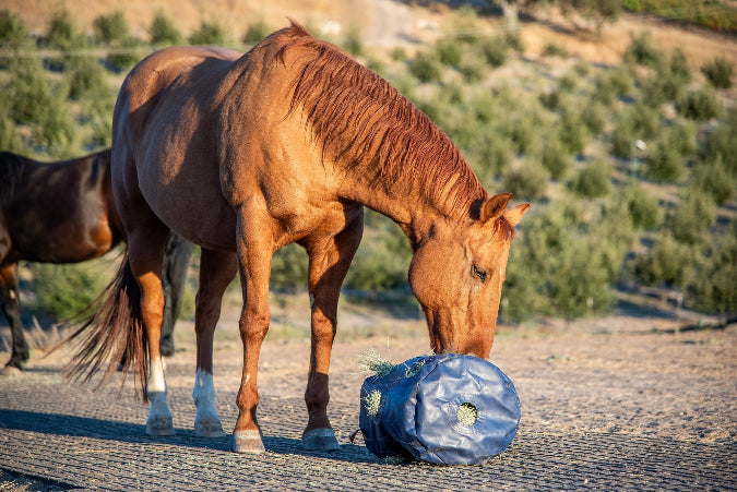 ground feeding hay bag for horses