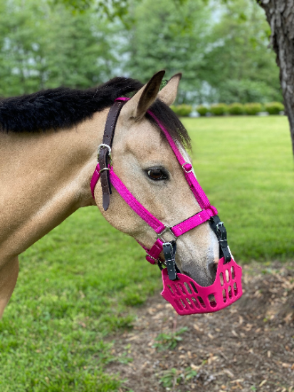 CLOSEOUT Premium Breakaway Halter