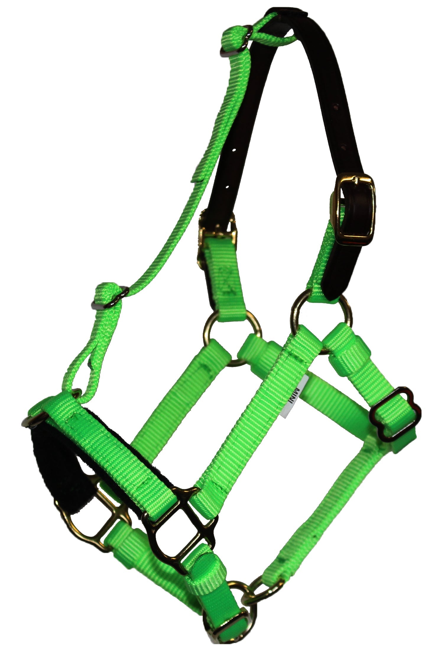 CLOSEOUT Mini & Small Pony Halters