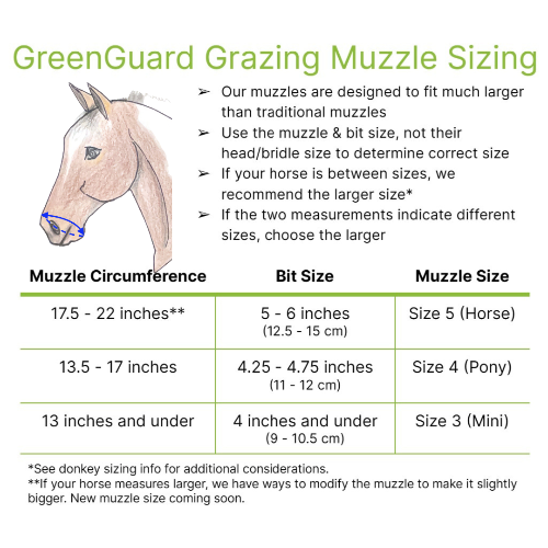 Out of date chart for determining horse halter size. Has been superseded since 2025, with the addition of two additional sizes.