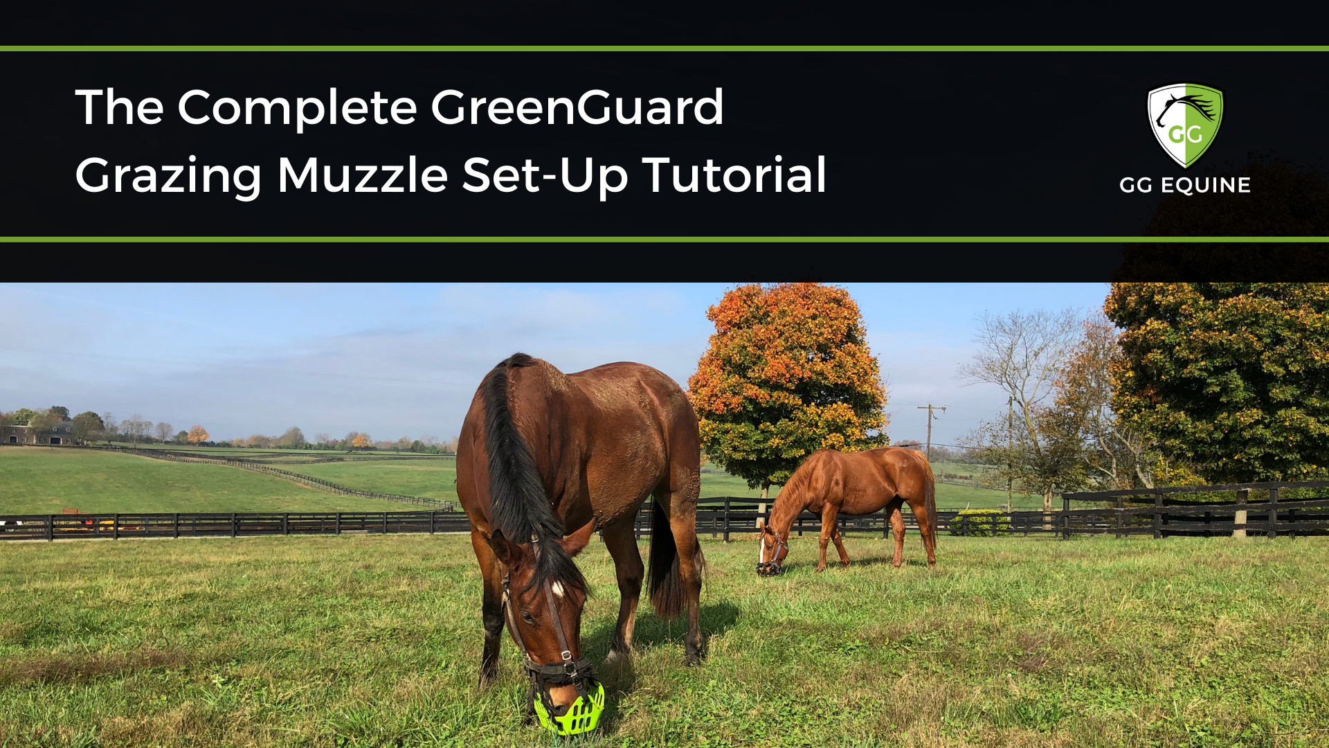 Load video: Full tutorial and instruction video for setting up the GreenGuard Grazing Muzzle, connecting it to a halter, and major accessories.
