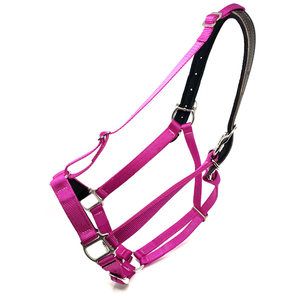 CLOSEOUT Premium Breakaway Halter