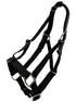 A black horse halter hanging against a nondescript background.