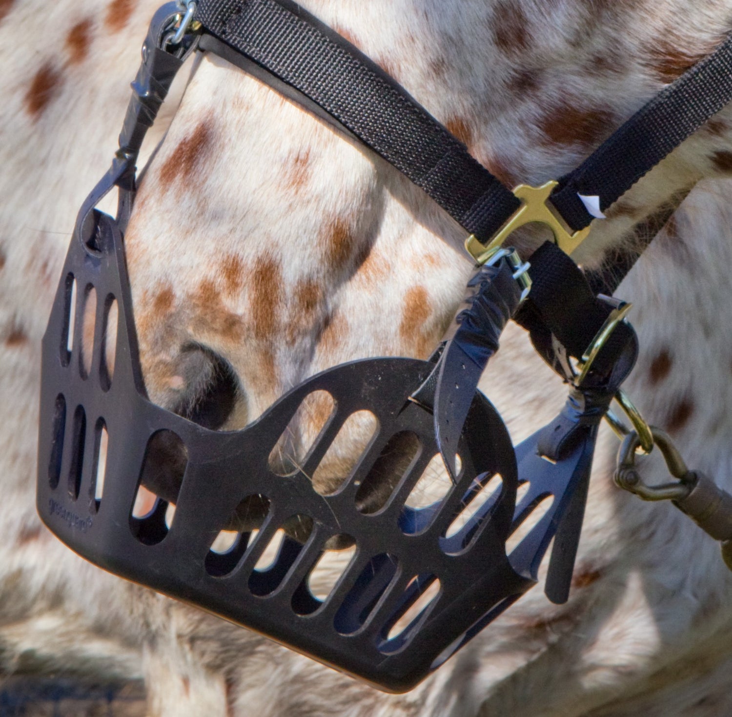 Can You Add Fleece to Prevent Rubbing From a Grazing Muzzle?