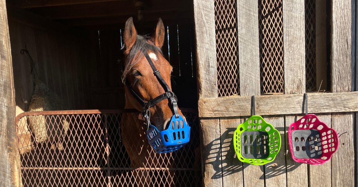 How Much Do Grazing Muzzles Restrict Grass Intake?