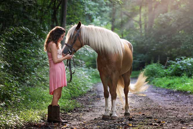 Bit Fit: How To Measure a Horse Bit