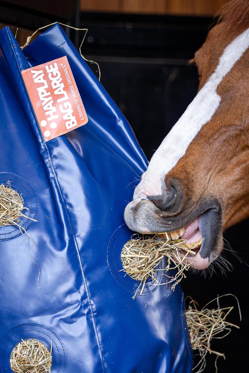 HayPlay Slow-Feed Tie Bag