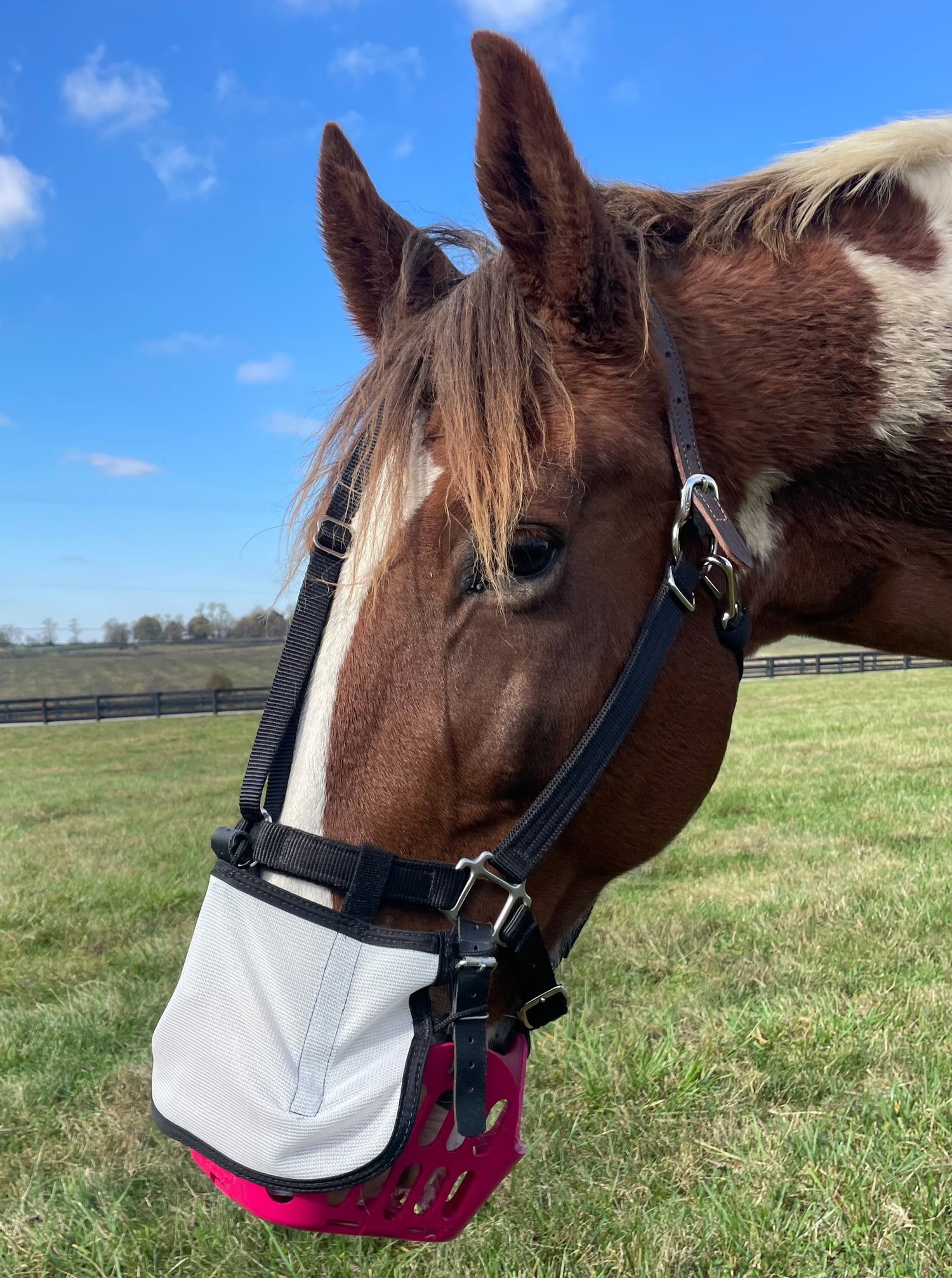 Nose Protector Sun Shield