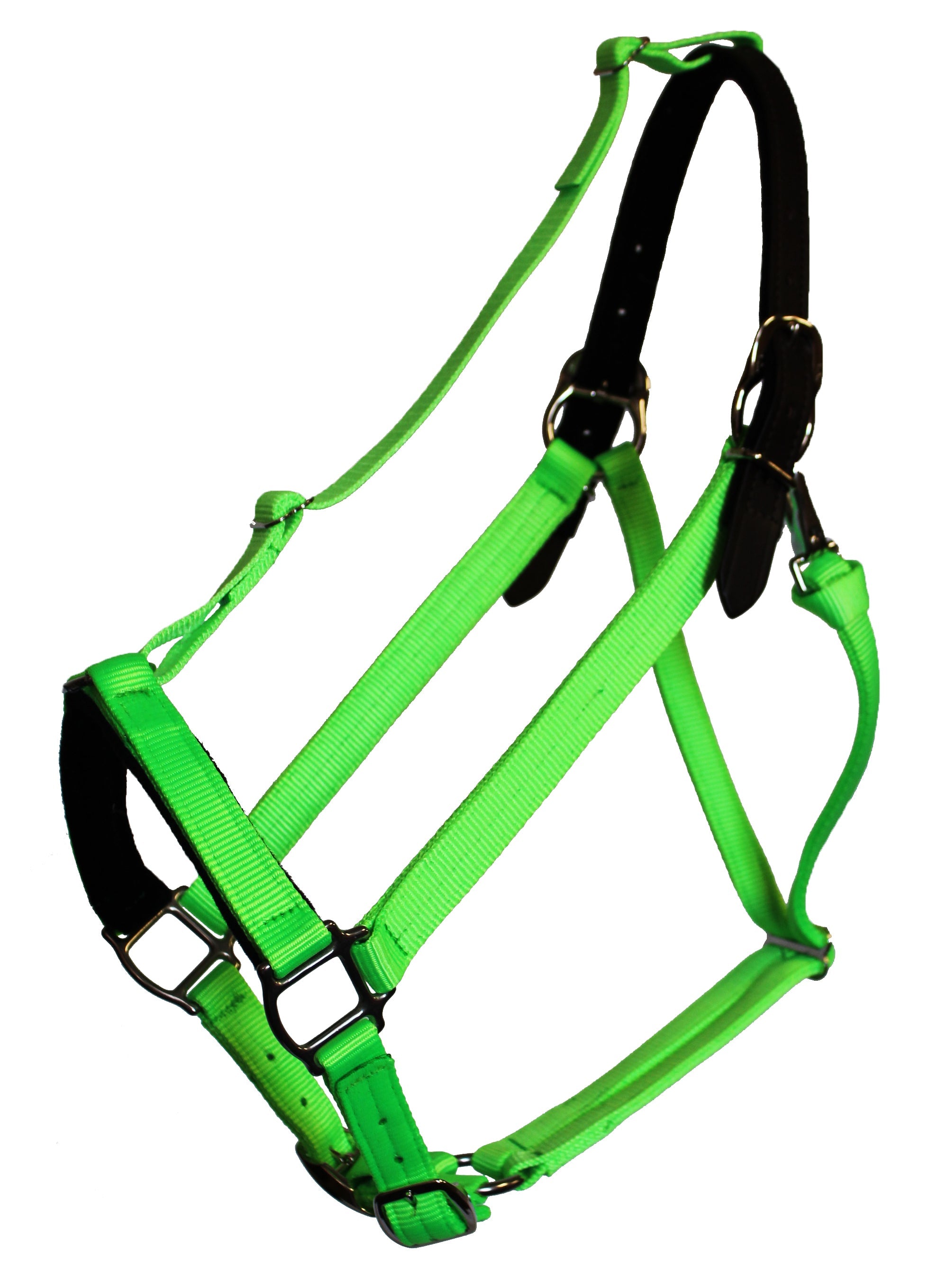 Premium Breakaway Halter - CLOSEOUT