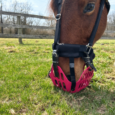 Halter padding for horse halters to prevent rubbing