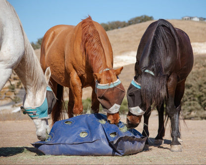 Horses eating hay from a blue slow feed hay bag laying on the ground in a pasture or paddock