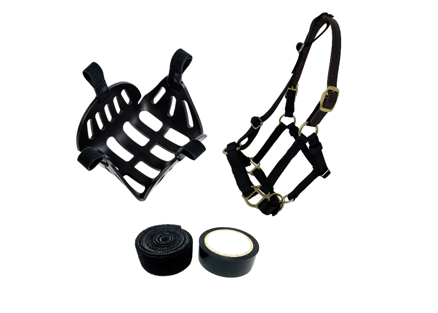 miniature grazing muzzle with safety breakaway halter