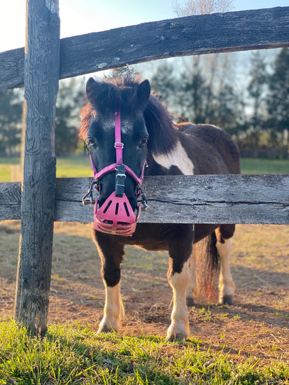 Cabestro - Pony Mini/Pequeño Premium Breakaway