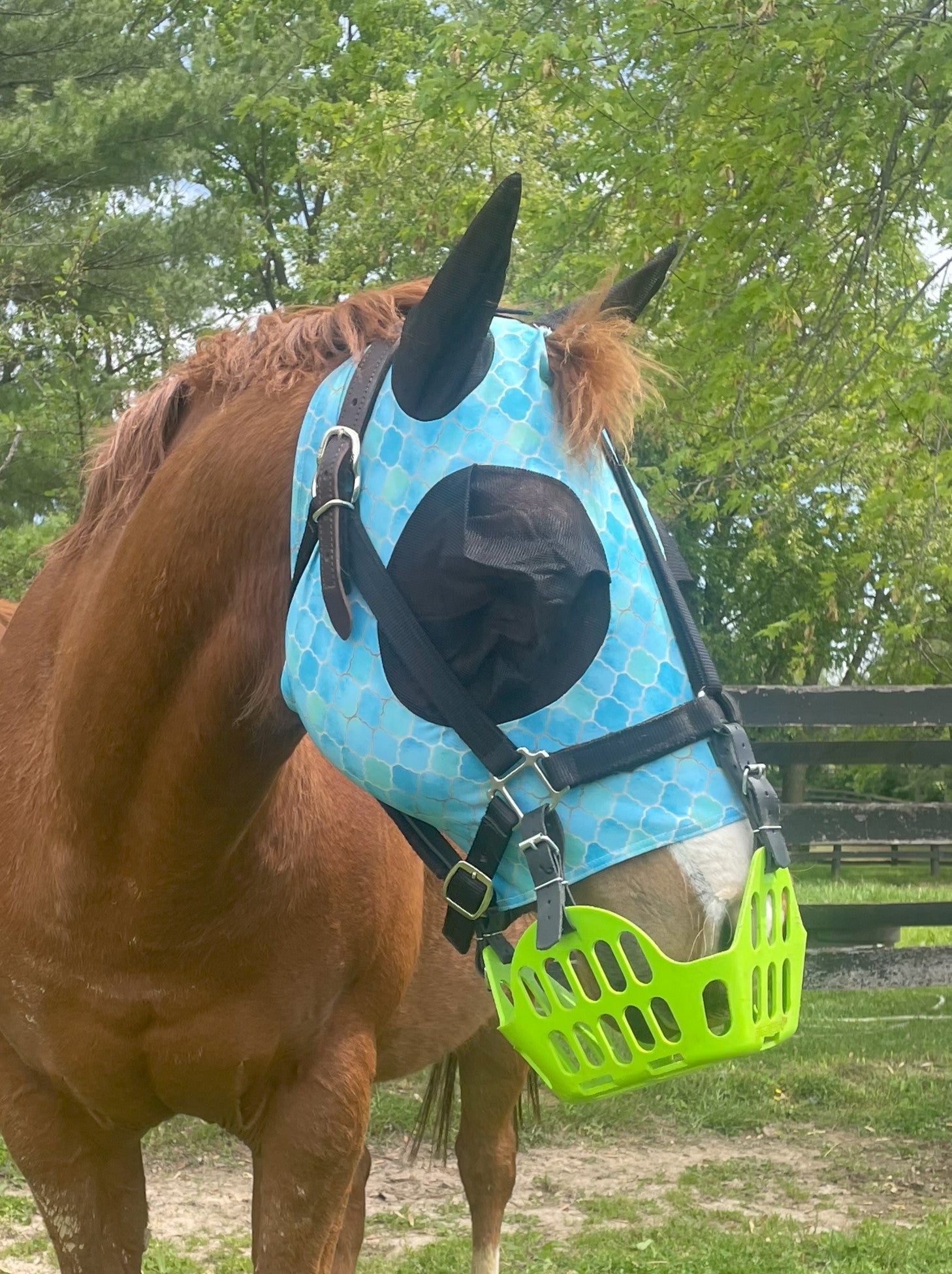 Premium Lycra Fly Mask Rub Protector