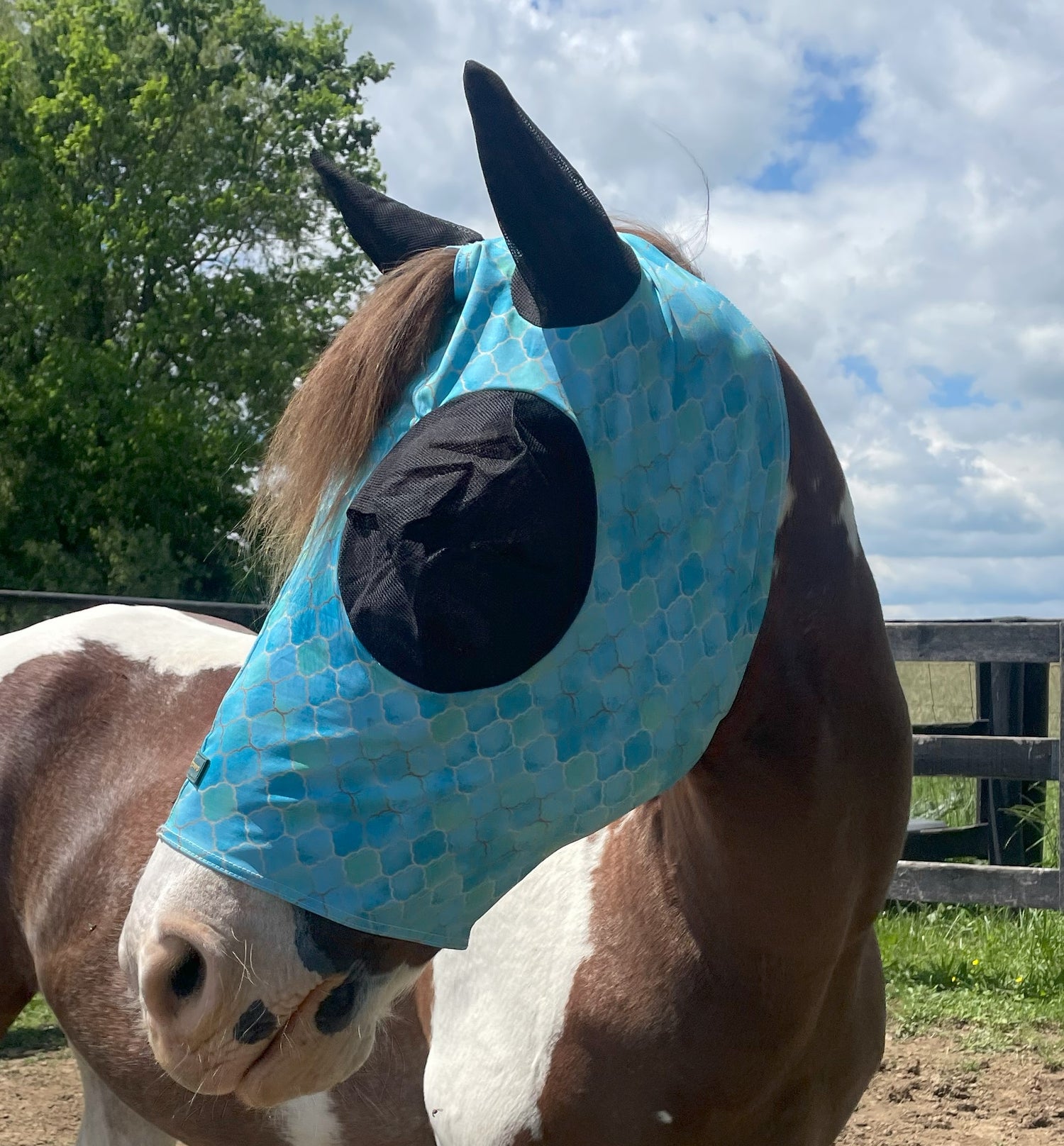 Premium Lycra Fly Mask Rub Protector